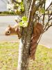 Woodland Squirrel Tree Decor