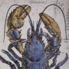 Blue Lobster Wall Decor - Scientific and Stylish Home Accent